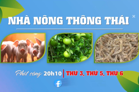 Trailer Chương trình "Nhà nông thông thái"